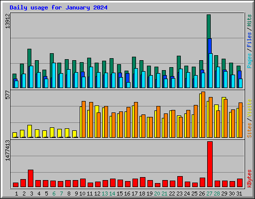 Daily usage for January 2024
