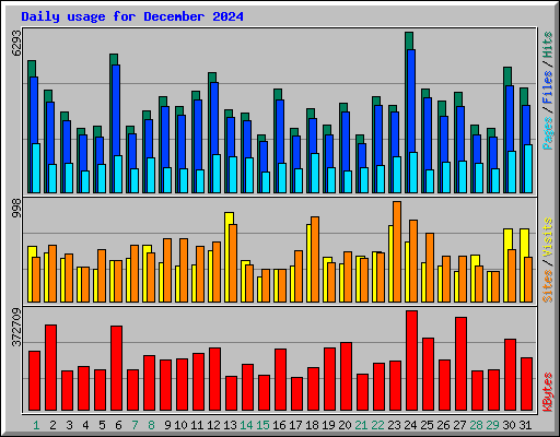 Daily usage for December 2024