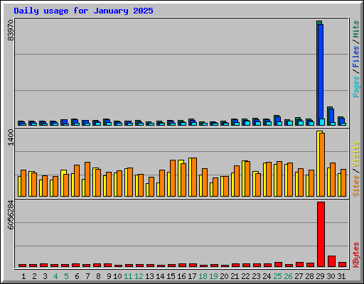 Daily usage for January 2025