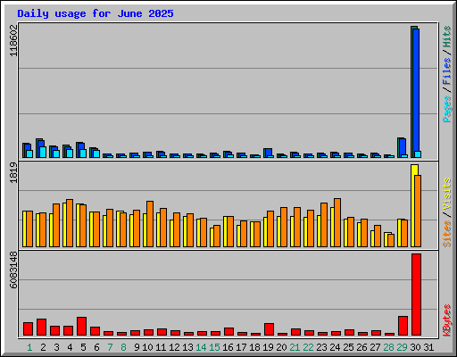 Daily usage for June 2025