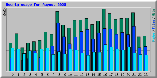 Hourly usage for August 2023
