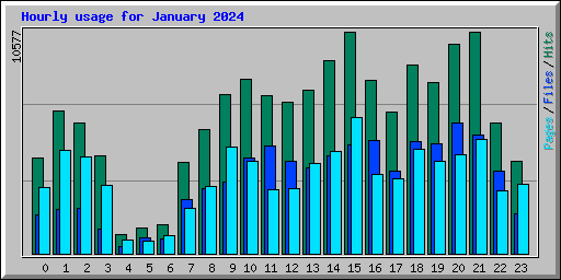 Hourly usage for January 2024