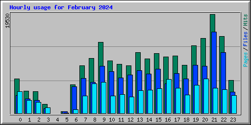 Hourly usage for February 2024