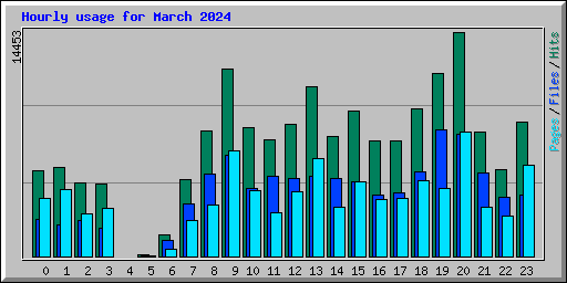 Hourly usage for March 2024