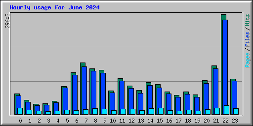 Hourly usage for June 2024
