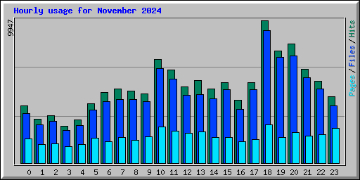 Hourly usage for November 2024