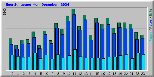 Hourly usage for December 2024