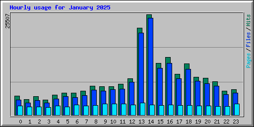 Hourly usage for January 2025