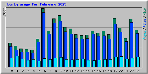 Hourly usage for February 2025