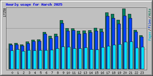 Hourly usage for March 2025