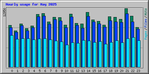 Hourly usage for May 2025