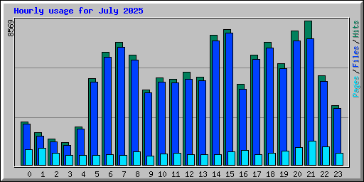 Hourly usage for July 2025