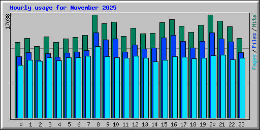 Hourly usage for November 2025