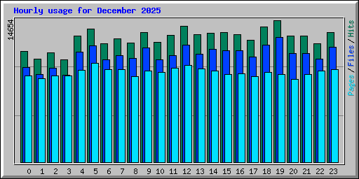 Hourly usage for December 2025