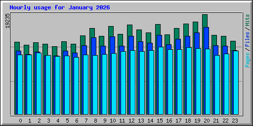 Hourly usage for January 2026