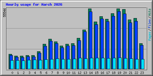 Hourly usage for March 2026