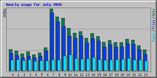 Hourly usage for July 2026